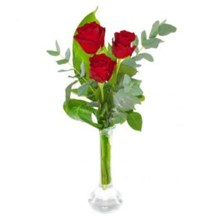 3 vackra rosor