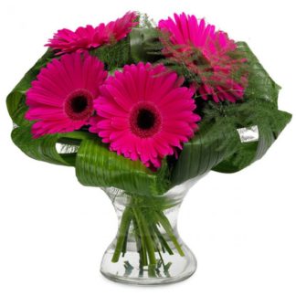 Grandiosa gerberas