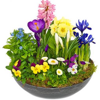 Floristens vårgrupp